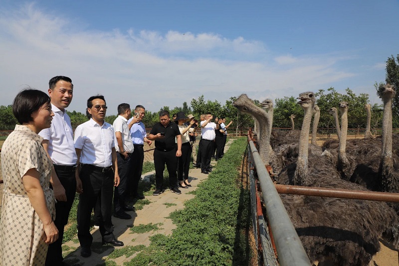 1687857903963865.jpg 5333ed56d65b78be50f6999a380e6a2.jpg