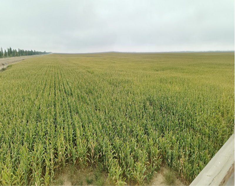 1694765474588481.png 圖片18.png