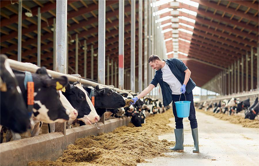 1695797021223674.png c3568fcca6ac212a05823214c63e7dc.png