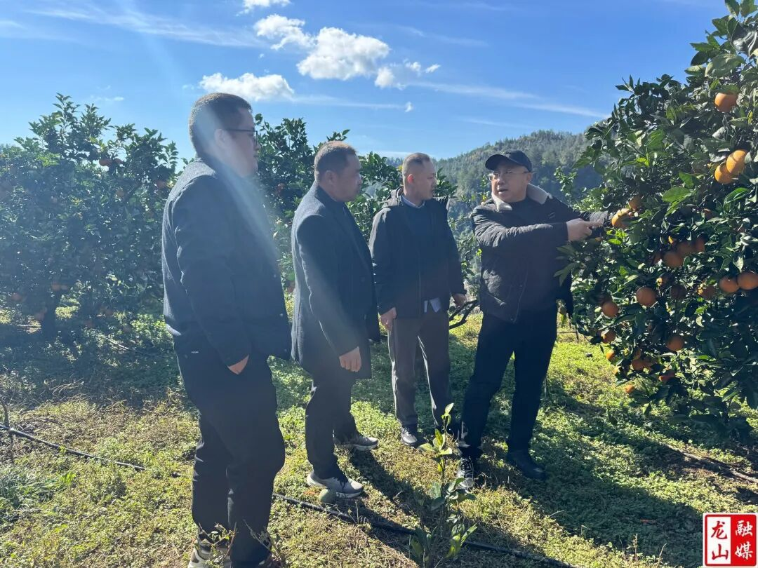 1764039979756866.png 圖片9.png