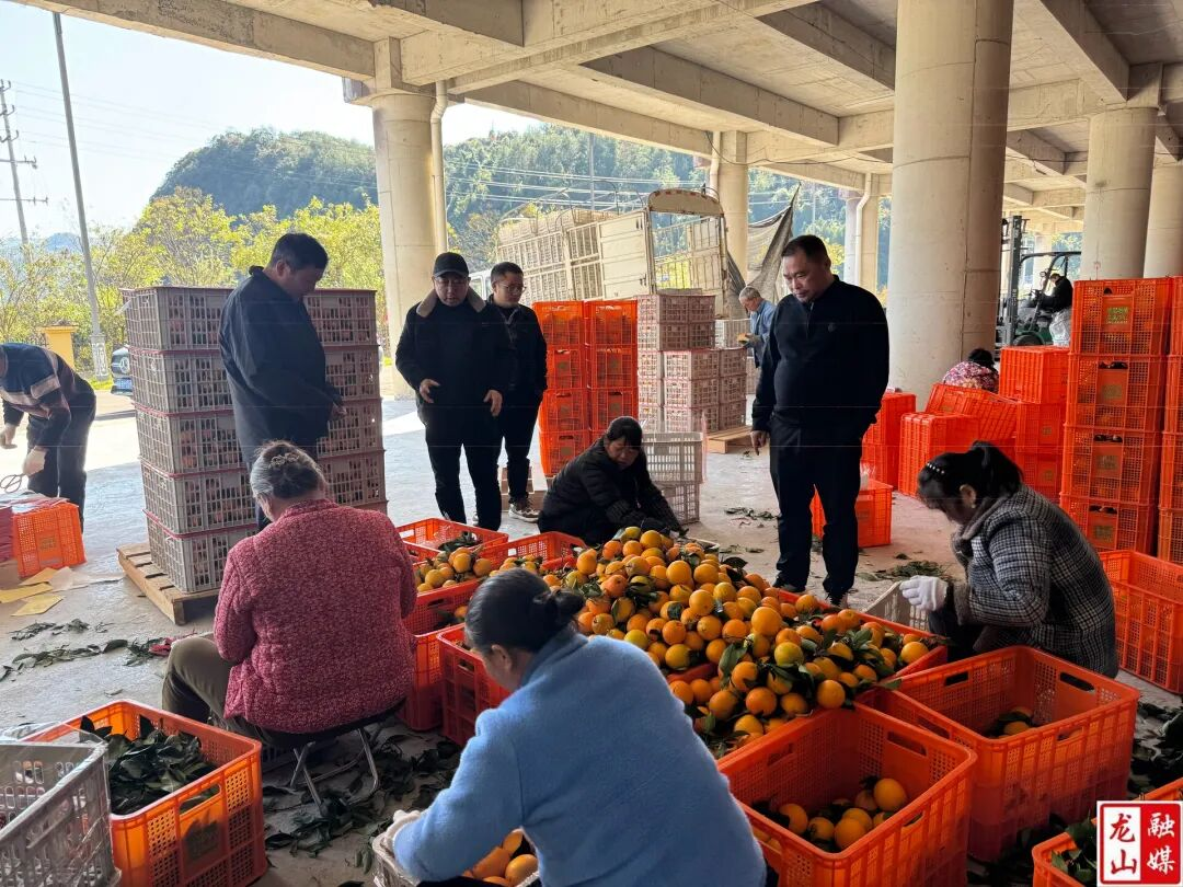 1764040011779591.png 圖片10.png